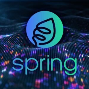 Jabeen Ali Zaidi – CEO & Founder of Spring AI